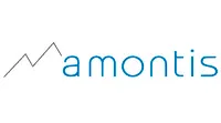 amontis consulting AG